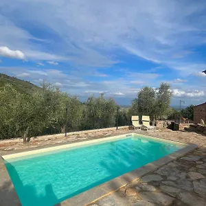 Campo Dei Lupi Vicopisano